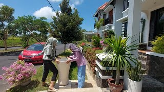 Tanaman hias selamat datang di depan rumah Banyuwangi [upl. by Kingsly267]