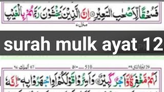 Surah Al mulkl ayat 12 word by wordAyman quran academy [upl. by Ecurb]