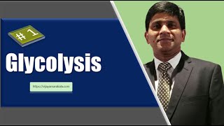 Glycolysis part 1 Carbohydrate metabolism Biochemistry [upl. by Aikcin]