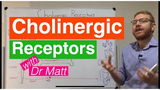 Cholinergic Receptors [upl. by Irish150]