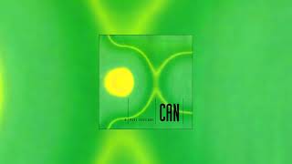 Can  The Peel Sessions  Full Album [upl. by Oicaroh]