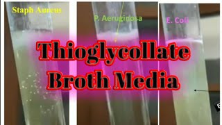 Thioglycollate broth culture media lecture 36 [upl. by Trebled]