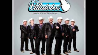 Los Villalobos  Mix de Cumbias Juventud y Experiencia Para Ti CD 2013 [upl. by Capp]