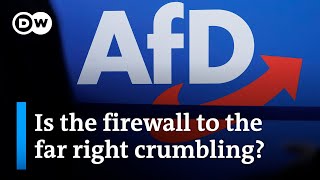 How should German parties deal with the increasingly popular farright AfD  DW News [upl. by Uliram]