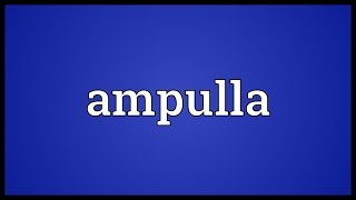 Ampulla Meaning [upl. by Arahas695]