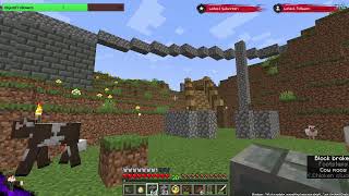 MINECRAFT LAventure en vadrouille VOD 8 [upl. by Sellihca604]