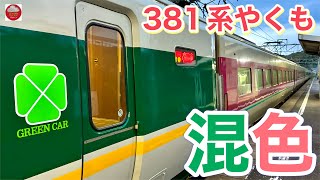 【混色やくも】381系特急やくも『緑やくも色ゆったりやくも色』 20231118  Series 381 Yakumo quotGreen Yakumo  Yuttri Yakumoquot [upl. by Acinnej]