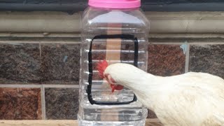 How To Make Drinker For Chickens With Waste Plastic Material Without Spending Money [upl. by Bennet]