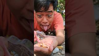 Found a delicious gummy candy but ran away seeing the worm inside shorts shortvideo viralvideo [upl. by Basso]