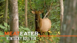 Boone amp Bugles Kentucky Bull Elk  S4E10  MeatEater [upl. by Sibilla]