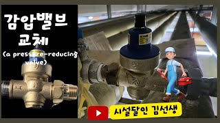 감압밸브 교체a pressurereducing valve [upl. by Balliett658]