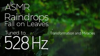 Raindrops Fall on Leaves 雨の音 愛と奇跡の周波数  528 Hz Love Frequency  ASMR [upl. by Nwahsem]