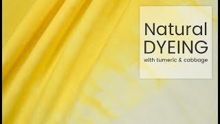 How to Dye Fabric Natural Dyeing with Turmeric amp Cabbage [upl. by Till]