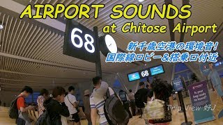 【AIRPORT SOUNDS】新千歳空港 国際線の環境音を楽しむ ASMR at CTS Airport [upl. by Kepner269]