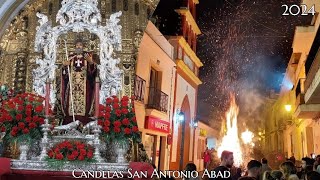 Candelas de San Antonio Abad  Trigueros 2024 HD [upl. by Merv]