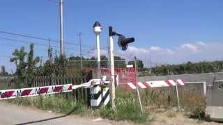 Passaggio a livello di via Casanola  Castelbolognese RA  Level Crossing  Bahnübergang  道口  踏切 [upl. by Ariamoy308]