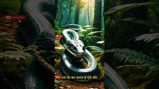 Enakkonda jehar hota haishorts facts science anaconda [upl. by Adnauqahs]