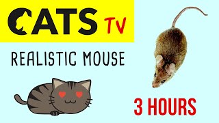 CATS TV  Realistic Mouse 🐁 HD  3 HOURS Video Game for Cat amp Dog [upl. by Tennaj]