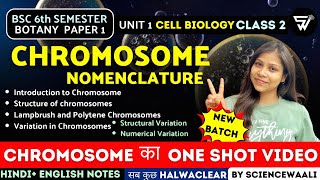 Chromosome Structure amp Function  Chromosomal Nomenclature BSc 6th semester Paper 1 Unit 1 🔥 [upl. by Nairahcaz]