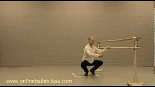 Basic Ballet  Plie [upl. by Suiremed952]