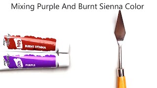 Purple And Burnt Sienna Mixing Make What Color  Mixing Acrylic Colors [upl. by Ahsitnauq]