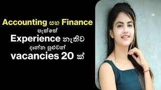 Job Vacancies in Sri Lanka for Accounting and Finance  No Experience Needed July 2024 [upl. by Selimah]