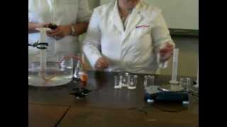 experiment to show how concentration affects the rate of reaction PART 1 [upl. by Auj]