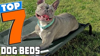 7 Best Dog Beds Comfort and Style for Every Dog [upl. by Eirod592]