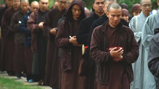 Le Bouddhisme Se Transformer Soi Meme Matthieu Ricard Documentaire Français [upl. by Bonnette]