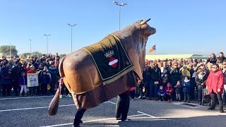 El Bou Tradicional La Mulassa de Valls i els Gegants de la Riba [upl. by Selmore]