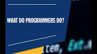 What Does a Programmer Do The Life of a Programmer [upl. by Neill]