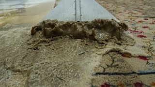 Cleaning Heavily Soiled Thousand Flowers Carpet  Carpet Cleaning Satisfying [upl. by Yule]