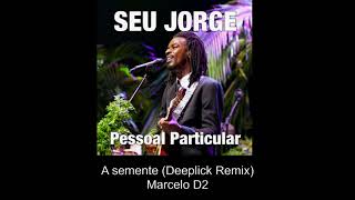 Seu Jorge  Pessoal Particular DeepLick Remix [upl. by Nithsa]