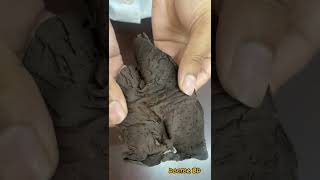 Duodenum Viscera Complete Demonstrations Anatomy  Duodenum  MBBS anatomy mbbs [upl. by Davison642]