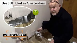 Verzweifelter Hilferuf Ekel in Amsterdam 🤢  BEST OF  Achtung Abzocke [upl. by Ramsay]