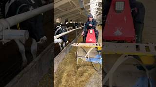 Incredible feed cutter farm cows feed [upl. by Yruama660]