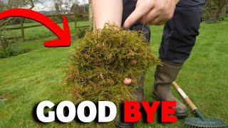 Best way to get rid of moss from ANY lawn [upl. by Brooks]