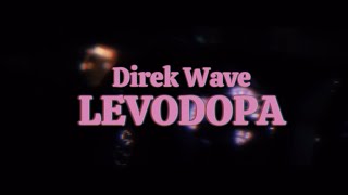 Levodopa  Direk Wave Official Music Video [upl. by Gussi]