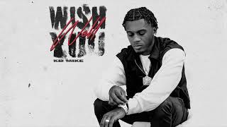 KB Mike  Wish You Well Official Audio [upl. by Enicar]