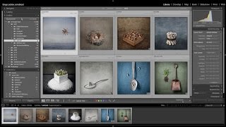 How to Copy Files to an External Hard Drive in Lightroom [upl. by Eiznek]