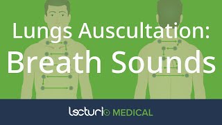 How To Auscultate The Lungs Differentiating Breath Sounds  Physical Examination [upl. by Skelly]