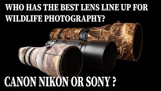 WHO HAS THE BEST LENS LINE UP FOR WILDLIFE PHOTOGRAPHYCANON NIKON OR SONY [upl. by Thaddaus292]