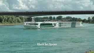 MS quotLADY DILETTAquot  neu auf dem Rhein [upl. by Okika]