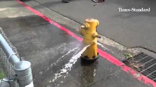 Arcata Public Works employees tend to a leaking fire hydrant at Sunset and Eastern that they specula [upl. by Worthy]