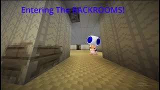 Entering The Backrooms In Minecraft [upl. by Rad]