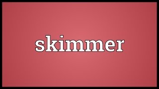 Skimmer Meaning [upl. by Bolt61]