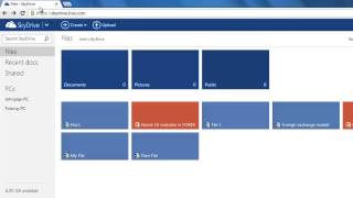 What is SkyDrive [upl. by Walley849]