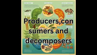 Producersconsumers and decomposers [upl. by Yanehc]