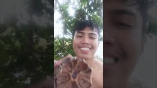 Giant sea urchin mukbang🥰🤤 [upl. by Jehial]