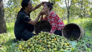 Harvesting Persimmons Goes to the market sell Vàng Hoa [upl. by Ahcsat992]